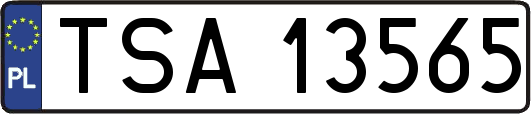 TSA13565