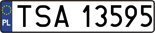 TSA13595