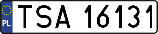 TSA16131