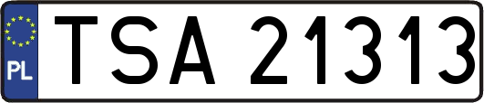 TSA21313