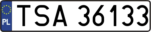 TSA36133