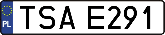 TSAE291