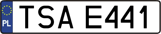 TSAE441