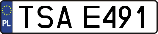 TSAE491