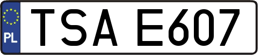 TSAE607