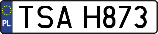TSAH873