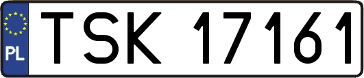 TSK17161