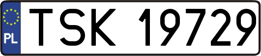 TSK19729
