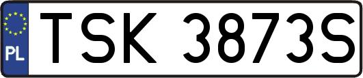TSK3873S