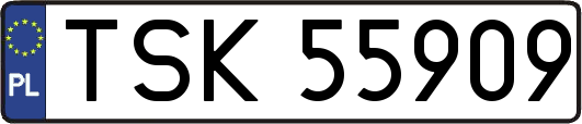 TSK55909