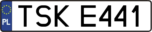 TSKE441