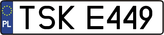 TSKE449