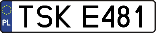 TSKE481