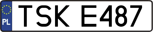 TSKE487