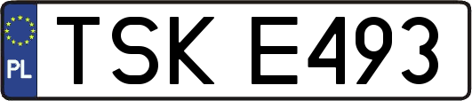 TSKE493