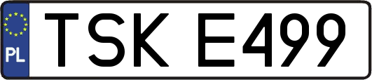TSKE499