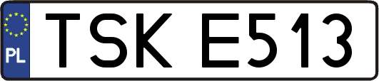 TSKE513