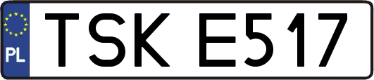 TSKE517