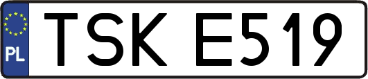 TSKE519