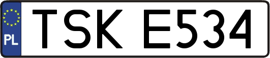TSKE534