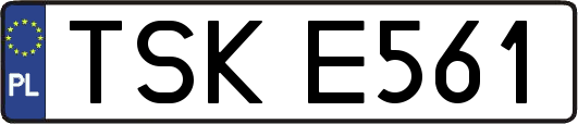 TSKE561