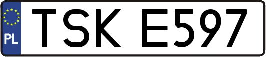 TSKE597
