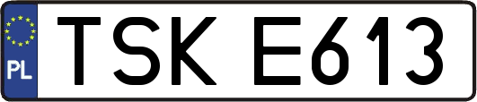 TSKE613
