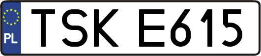 TSKE615