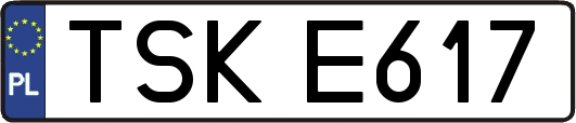 TSKE617