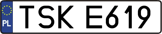 TSKE619