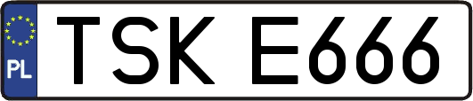 TSKE666