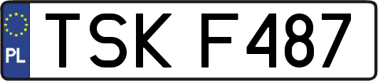 TSKF487
