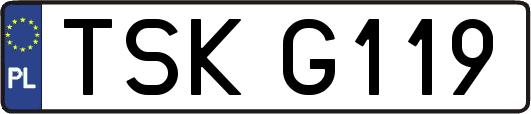 TSKG119