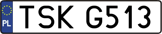 TSKG513