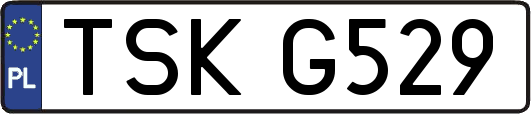 TSKG529