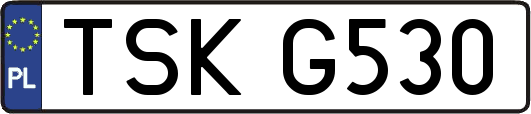 TSKG530