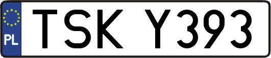 TSKY393