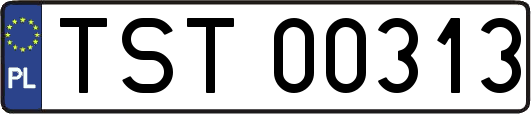 TST00313
