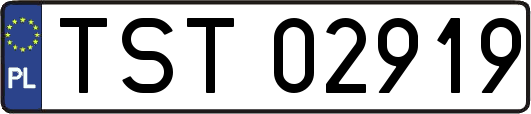 TST02919