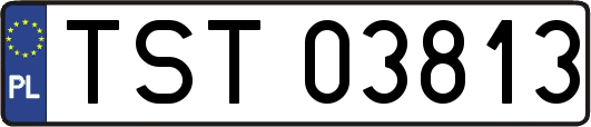 TST03813