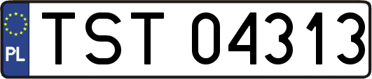 TST04313