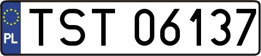 TST06137