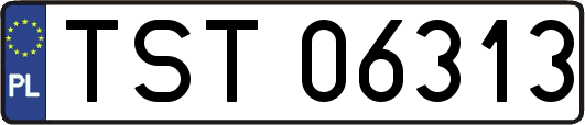 TST06313