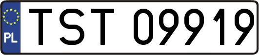 TST09919