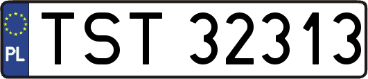 TST32313