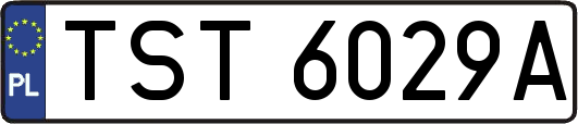 TST6029A