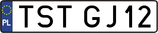 TSTGJ12