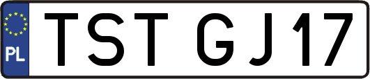 TSTGJ17