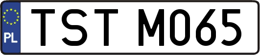 TSTM065