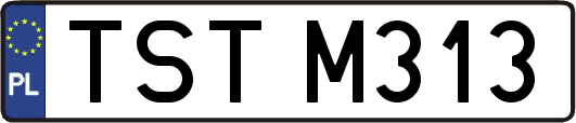 TSTM313